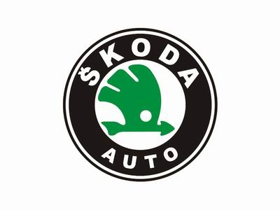 Компания Skoda поставила рекорд в Нижнем Новгороде.