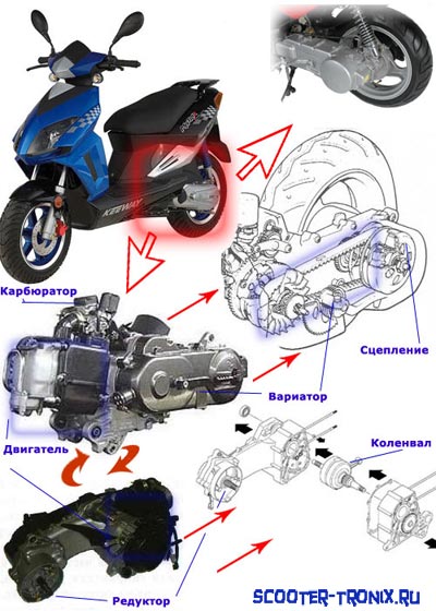 Устройство скутера и расположение агрегатов и узлов скутера